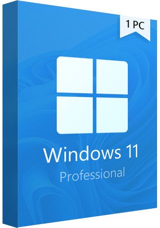 Windows 11 Professional - 1PC