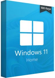 Microsoft Win 11 Home - 100 keys