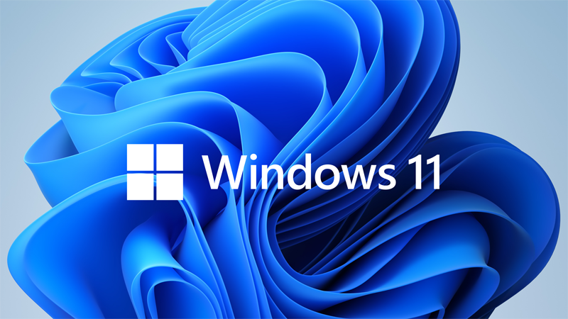 Buy Windows 11 Professional, MS Win11 Pro 1 PC Key - Keysworlds